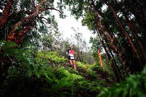 BIB: 
                            <button type="button" onclick="openModal(26202354)" class="btn btn-primary btn-sm float-right btn-popup" data-toggle="modal" data-target=".modal-high-quality">
                        <i class="fas fa-shopping-cart"></i> Add to Cart
                    </button>
                                            <button type="button" onclick="isThisMe(26202354, true)" class="btn btn-success btn-sm float-right btn-popup btn-isme hidden" data-toggle="tooltip" data-placement="bottom" title="นี่คือรูปของคุณใช่ไหม คลิกที่นี่เพื่อเอาเข้าอัลบั้ม">
                        <i class="fas fa-plus"></i> Add to album
                    </button>
                    <button type="button" onclick="isThisMe(26202354, false)" class="btn btn-warning btn-sm float-right btn-popup btn-isnotme hidden">
                        <i class="fas fa-ban"></i> Remove from album
                    </button>